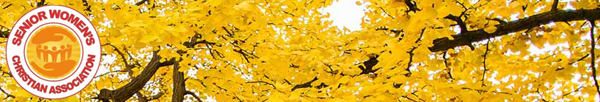 SWCA Title Image with Logo